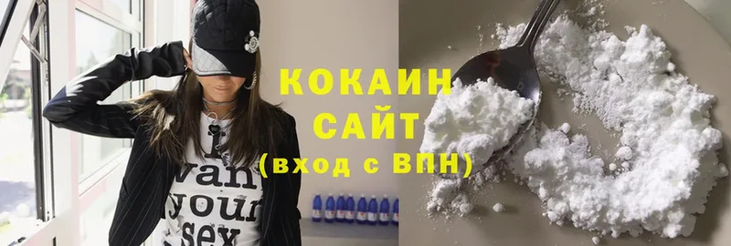 купить закладку  Данилов  Cocaine FishScale 