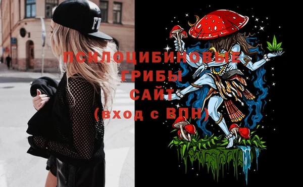 дживик Вяземский