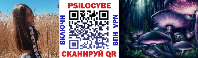 Галлюциногенные грибы Psilocybe  Данилов 